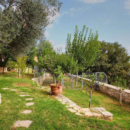 Vollard Villa Rodhiá